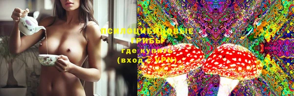 скорость Лиски