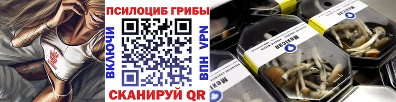Псилоцибиновые грибы мицелий  Купить  Полевской 