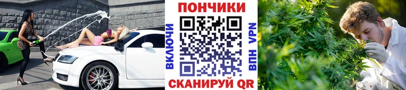 Купить где  Полевской  Бошки марихуана Ganja 